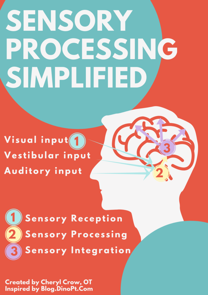 The poster reads, "Sensory processing simplified." Arrows are drawn from visual, vestibular and auditory input towards the human brain. This is labelled as "sensory reception." Signals are then relayed to the "sensory processing" center of the brain. They are then relayed to the "sensory integration" areas of the brain.